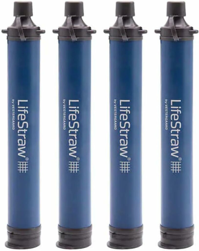 The 5 Best LifeStraw Water Filters for Survival and Hiking